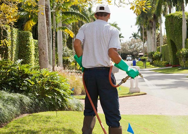 About Marion KS Pest Control